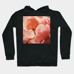 Paeonia #7 Hoodie